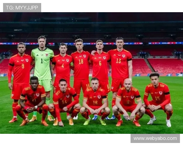 世界杯伊朗对比利时比赛在哪个网站或平台可以在线观看